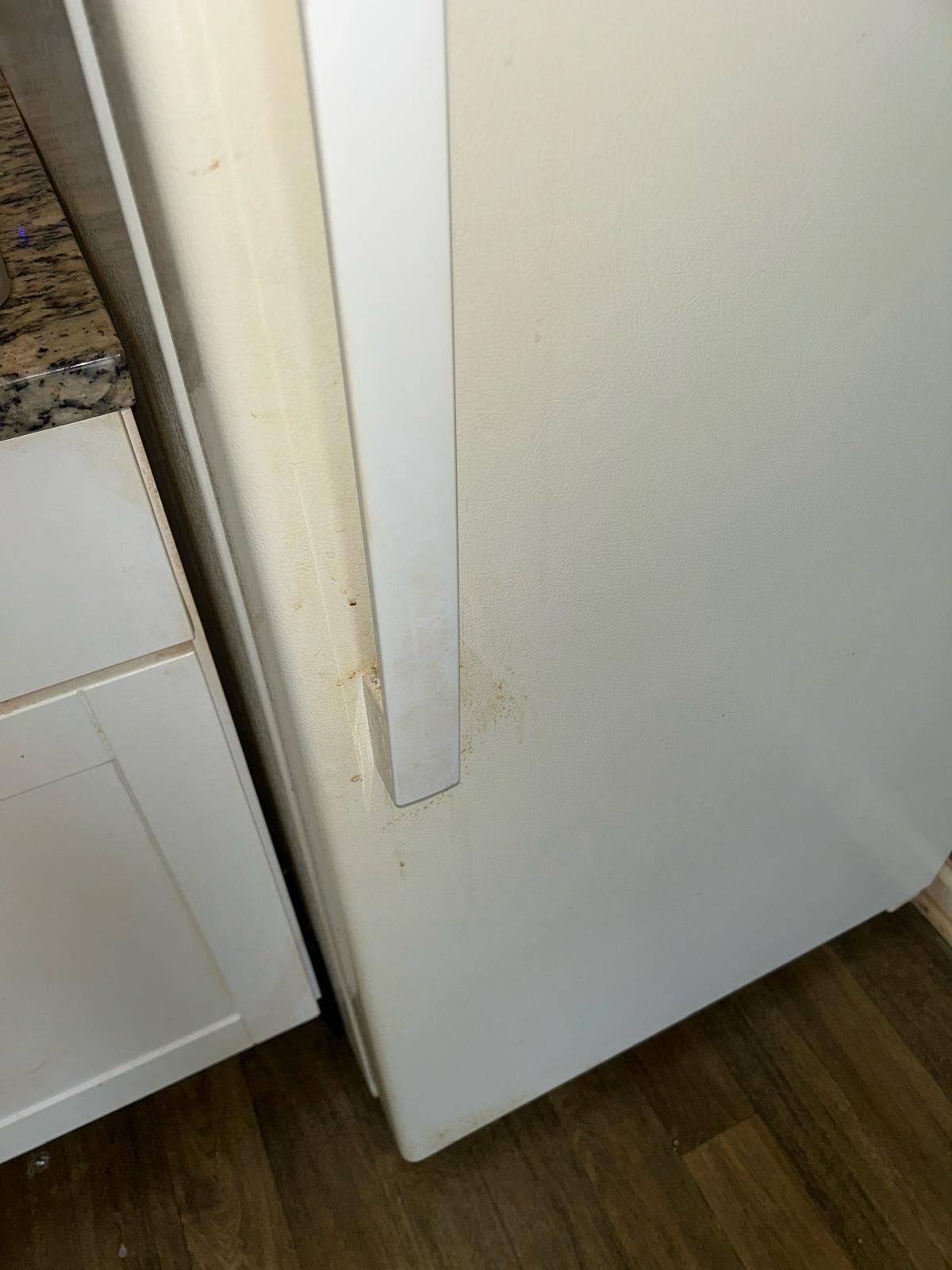 Dirty Fridge